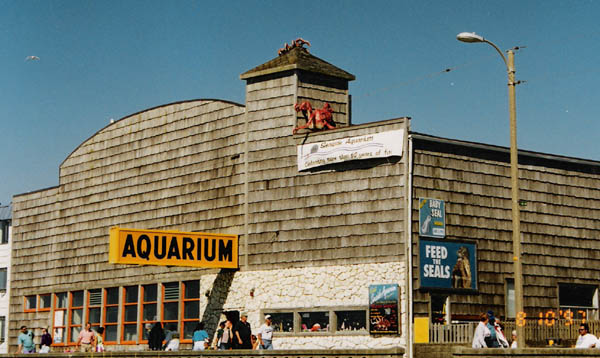 Seaside Aquarium 1997