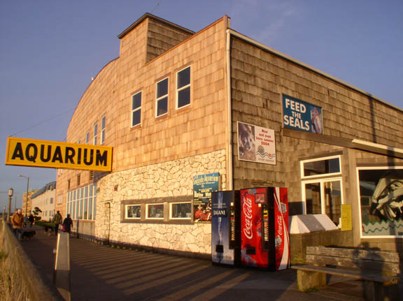 Aquarium 2004