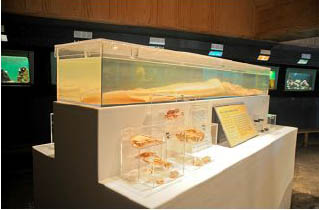 New displays