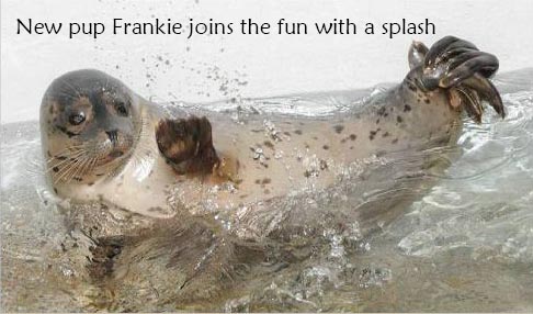 Frankie Splashing