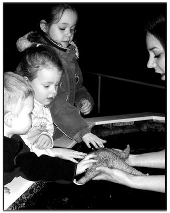 Touch Tank