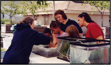 Estuary Program