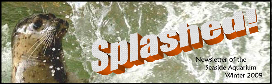 Splash Newsletter