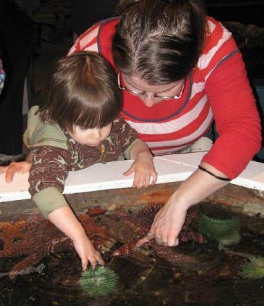 Kids at the Touch Tank