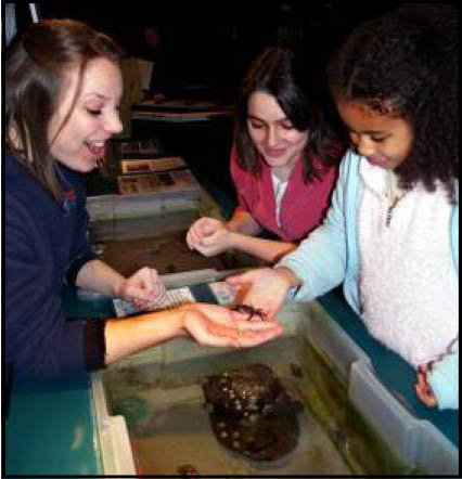 Kids at the Touch Tank