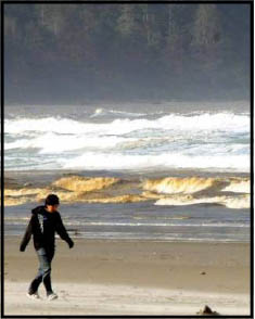 brown ocean surf