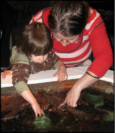 Kids at the Touch Tank