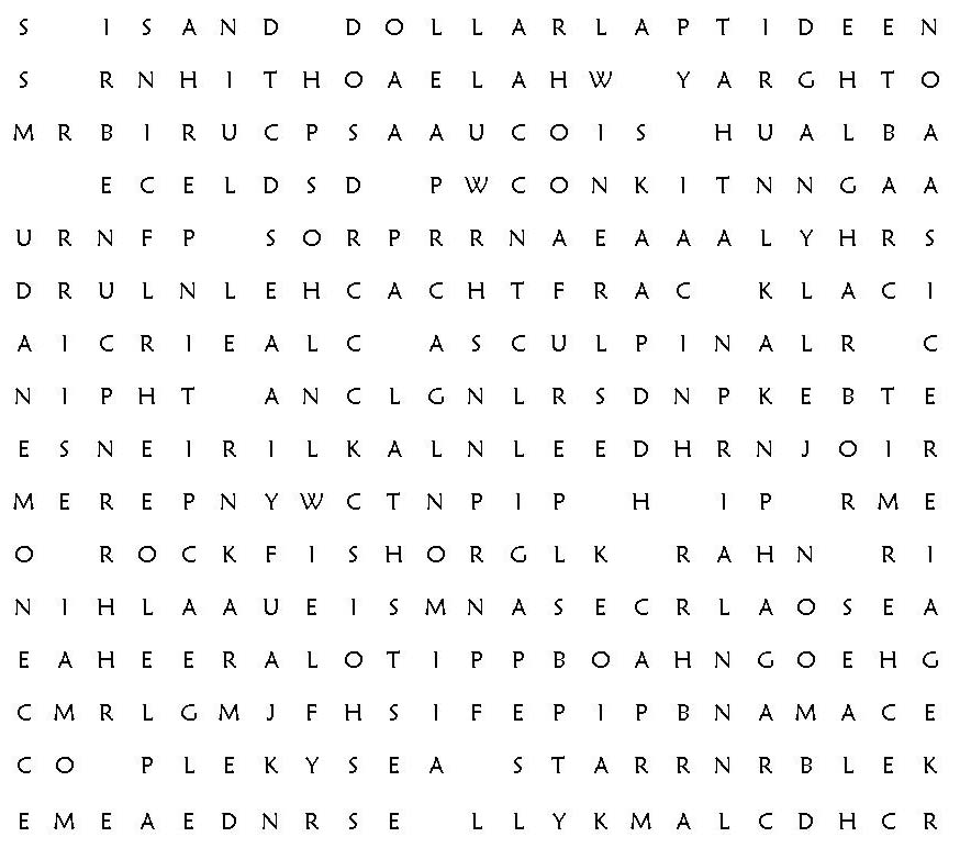 Word Search Puzzle