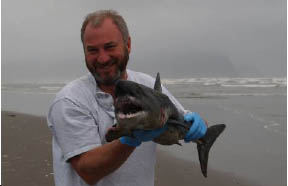 Seaside Aquarium Newsletter Splashed Summer 2008 Page 4 A Twenty Year Tradition The Haystack Rock Awareness Program Is Cannon Beach Insution For Information On Times And Tides